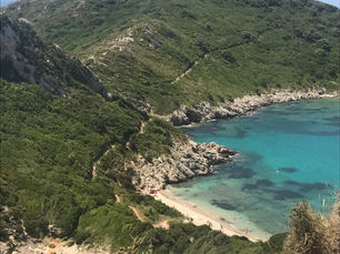 Buona estate da NeuroImpronta!