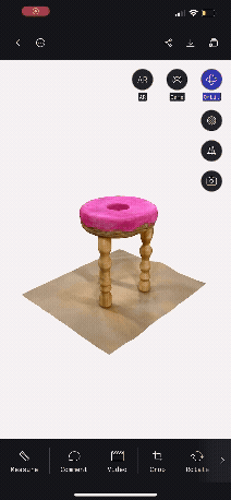 POLYCAM GIF2.gif