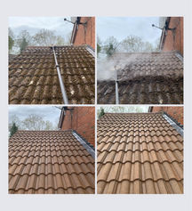 Roof Moss Removal Steam Clean & Treatment, 