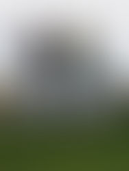 The Blow In's Release Debut EP, “Meant To Be”