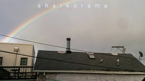 Sharkorama - you dunno