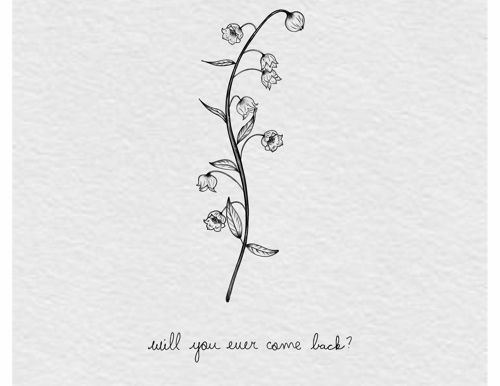 Cohen Sieg - Will You Ever Come Back?