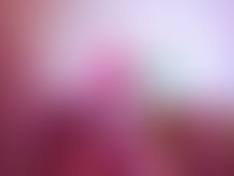 PinkFiz: ‘Did I Ask?’