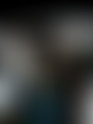 Shoreline: The Dawn of A New Album