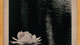 The Bad and the Beautiful: The Latest Album from Diana & The Gentle Men 