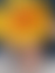 The Duck Has Landed In Durham: Queen of the Quack