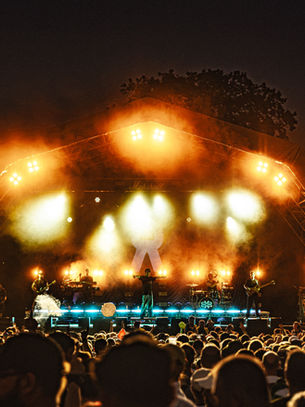 4 Days, Countless Live Music and The Energy of 2000 Trees