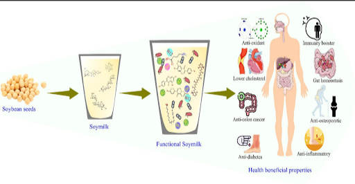 Figure 6: Health Benefits of Fermented Soy Drink (Hassan et al., 2023).