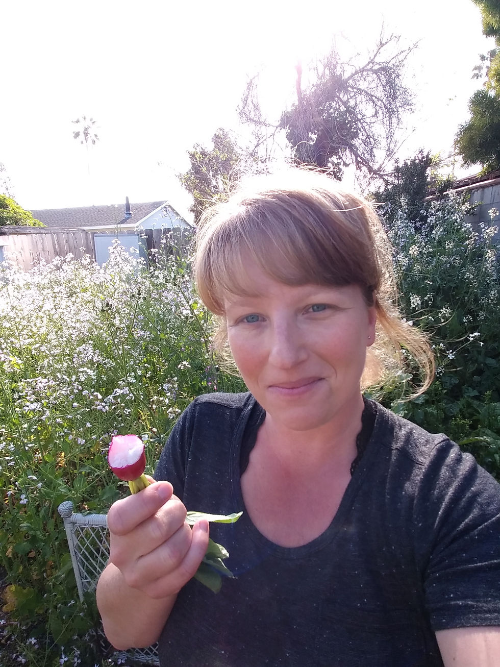 Eating homegrown French Breakfast Radish