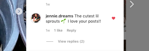 IG comment
