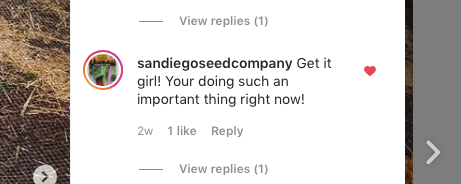San Diego Seed Company IG comment