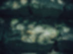_DSF9662_edited.jpg