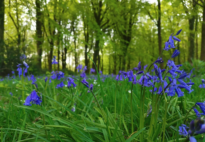 82f2de_1d07d74c2b9e452bb6e878a75a40d043_