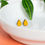 Miniature : Puces Gouttes