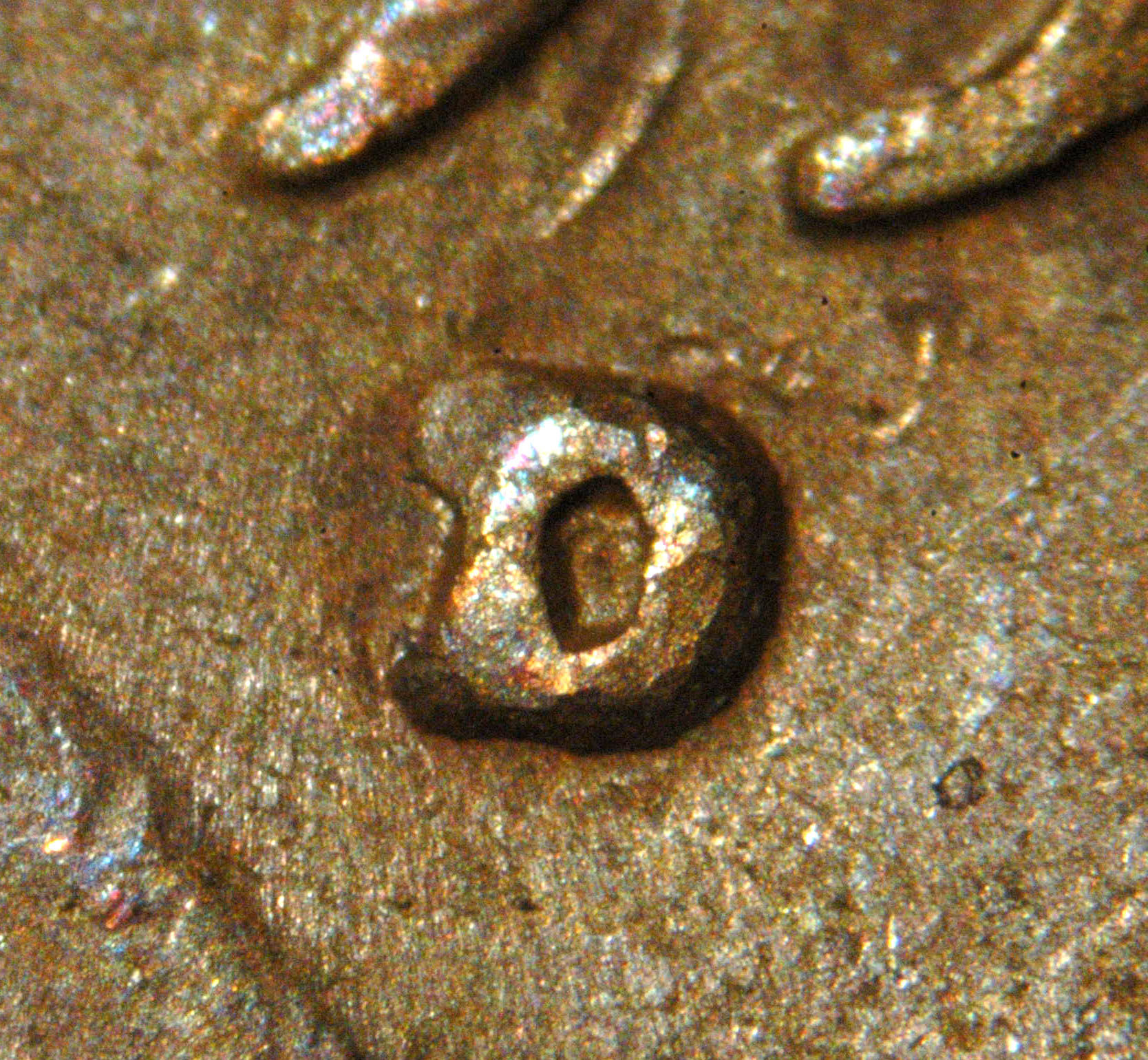 1950-D/D 1c  RPM-004__XF__Raw