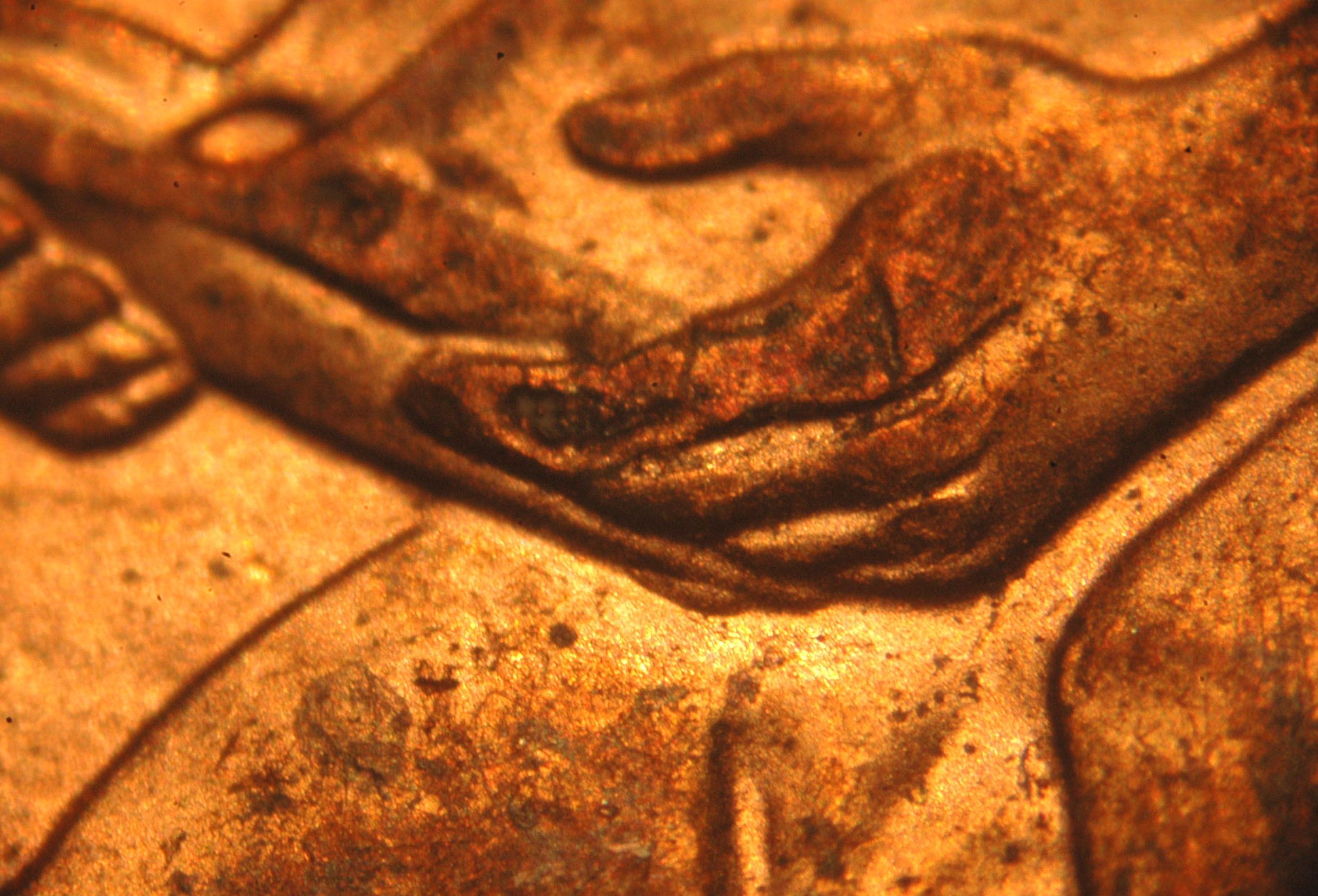 2009 FY 1c WDDR-009__AU Red-BROWN