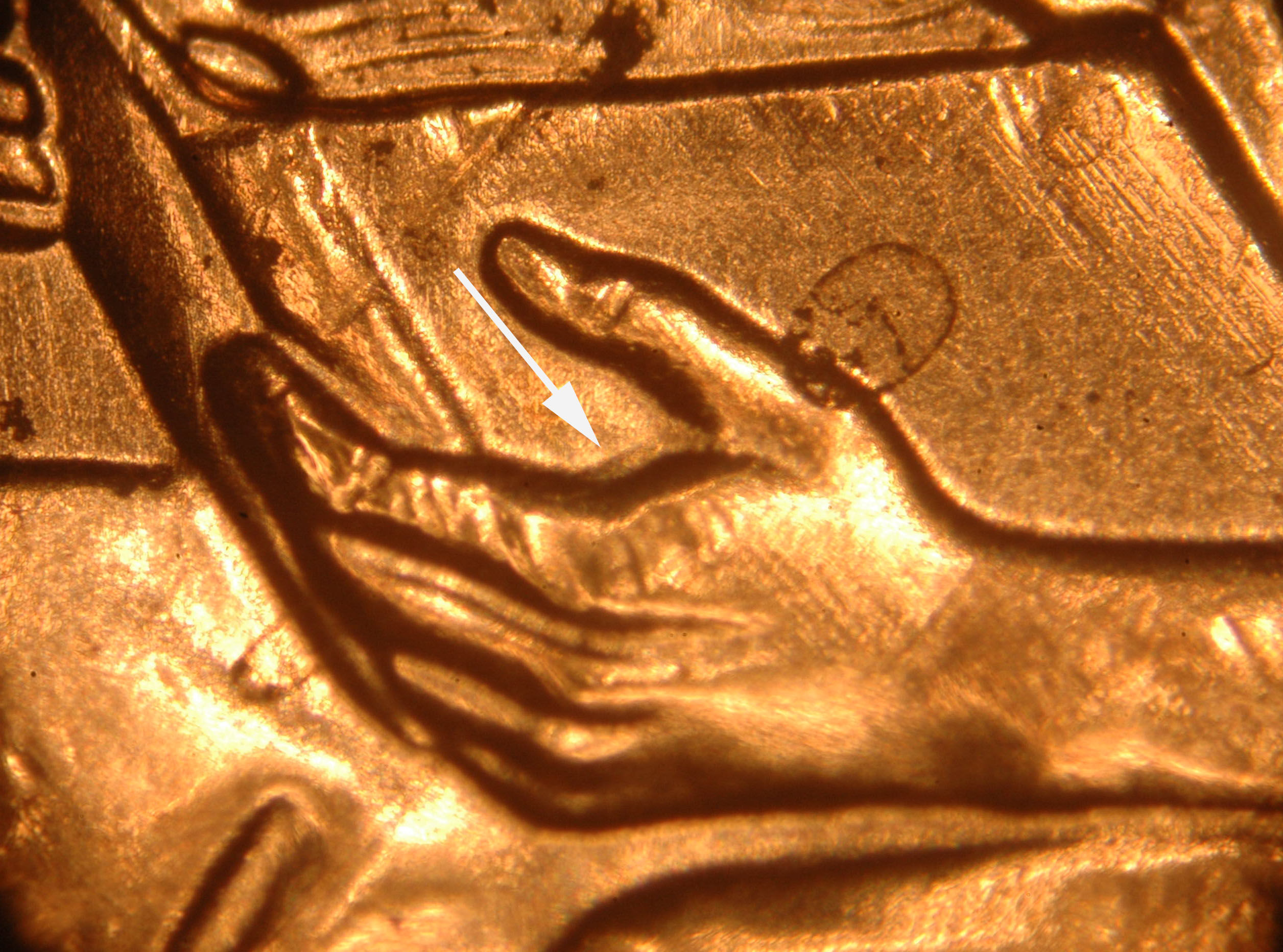 2009 FY 1c WDDR-031__BU Red