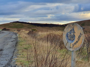 «Sanglerka skulle synge våren inn, men ble kappet i to av turbinblader»