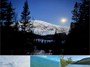 Naturkompasset peker feil vei