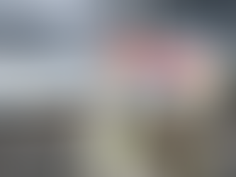 Motvind Norge gjør naturvern til hovedsak i valget