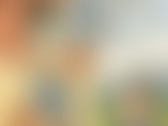 Nå vil EU kaste vinduet også