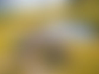 Vi melder sterk Motvind – Innsamlingsaksjon