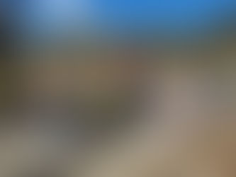 Oppfølging Stortingets vedtak 19. juni Oppfordring til lokale grupper