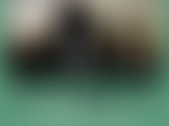 Motvind Norge holder sitt femte landsmøte