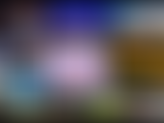 Sammen og samlet mot vindkraft i 2024