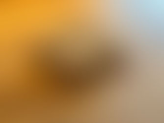 Oppskriften på Knekkebrød