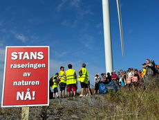 Bevisst bidrag til desinformasjon?