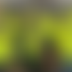 Takk for anerkjennelsen, WindEurope