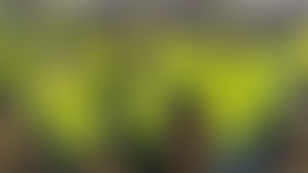 Takk for anerkjennelsen, WindEurope