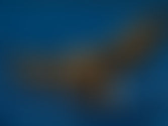 Advarer mot kjemikalieutslipp - ny rapport slår alarm