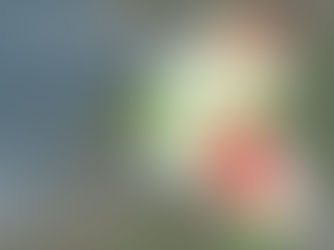 Vindkraft i Fauske og Sørfold?