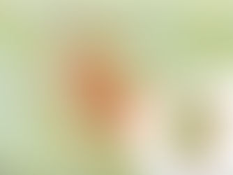 Kjølberget vindkraftverk ulovlig igangsatt. Hva nå?