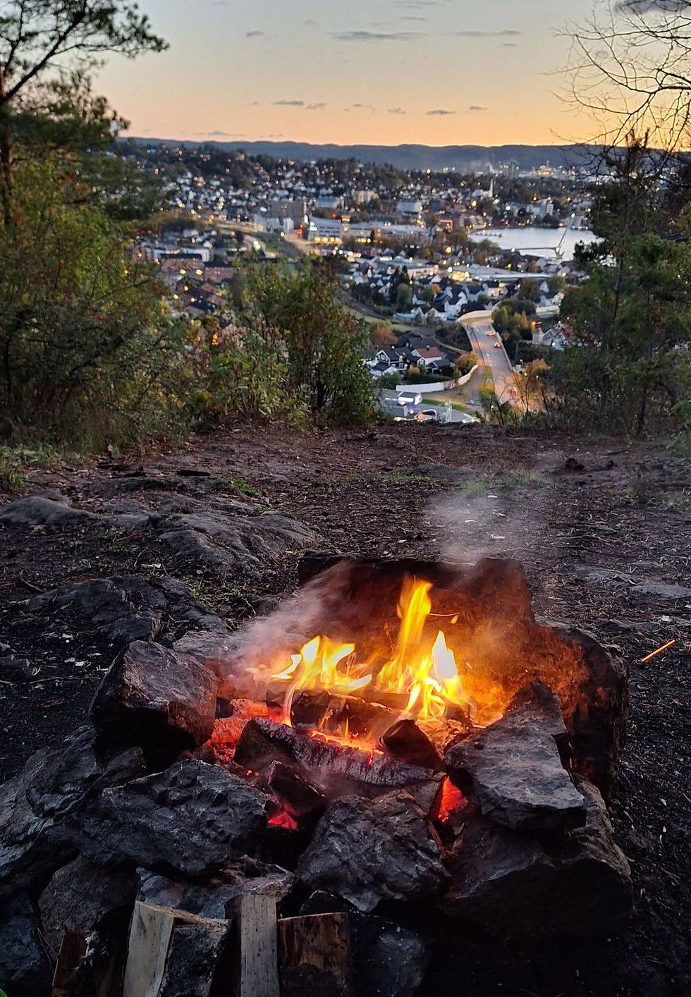 Telemark, Borgåsen
