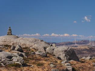 NHO-direktør med opplæringsbehov!