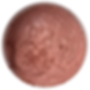 Black Raspberry