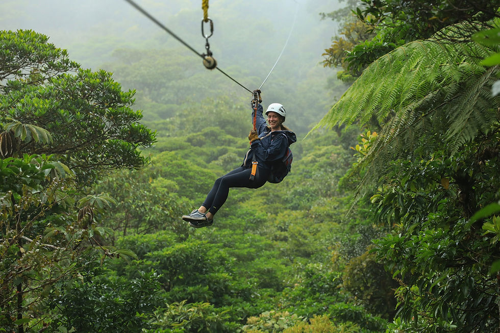 Canopy_1-scaled