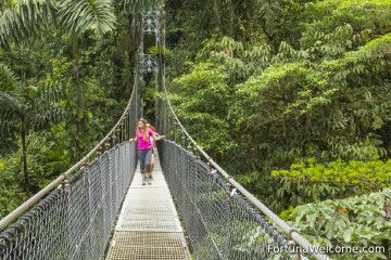 explore-the-trails