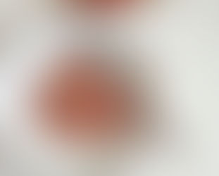 Strawberry Rhubarb Crisp