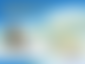 A happy inventory clerk from the property inventory company doing an inventory to help landlords and letting agents with large portfolios