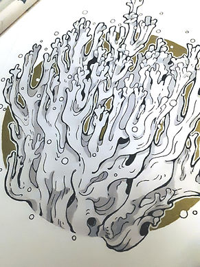 Golden Coral.jpg