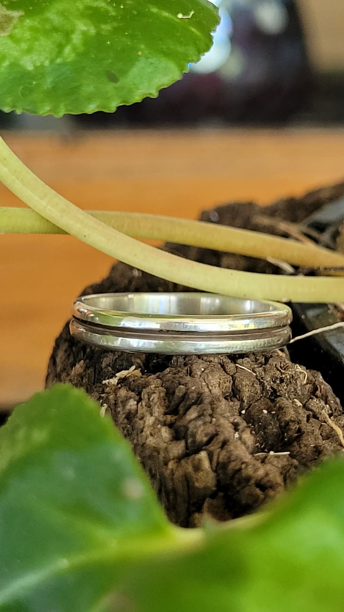 Double Band Sterling Silver Ring  