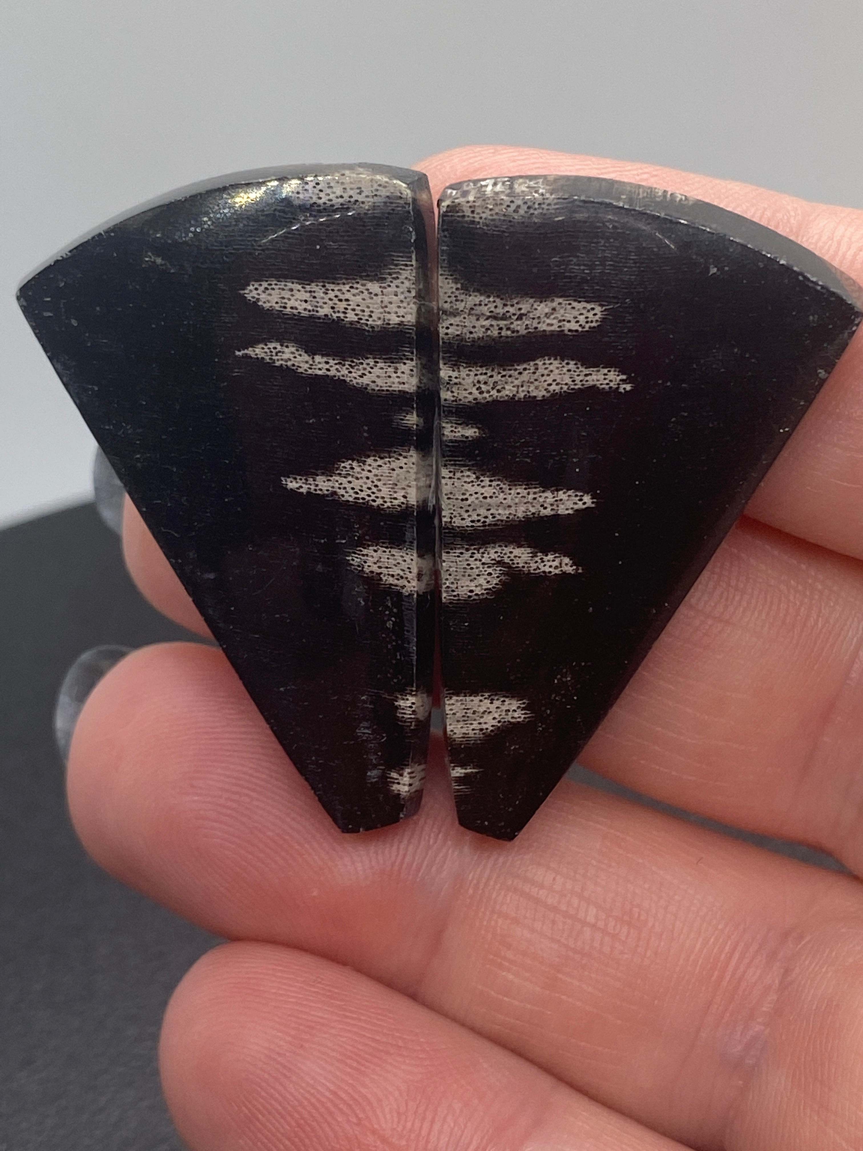 Petrified Wood | Custom Pair | 35 mm