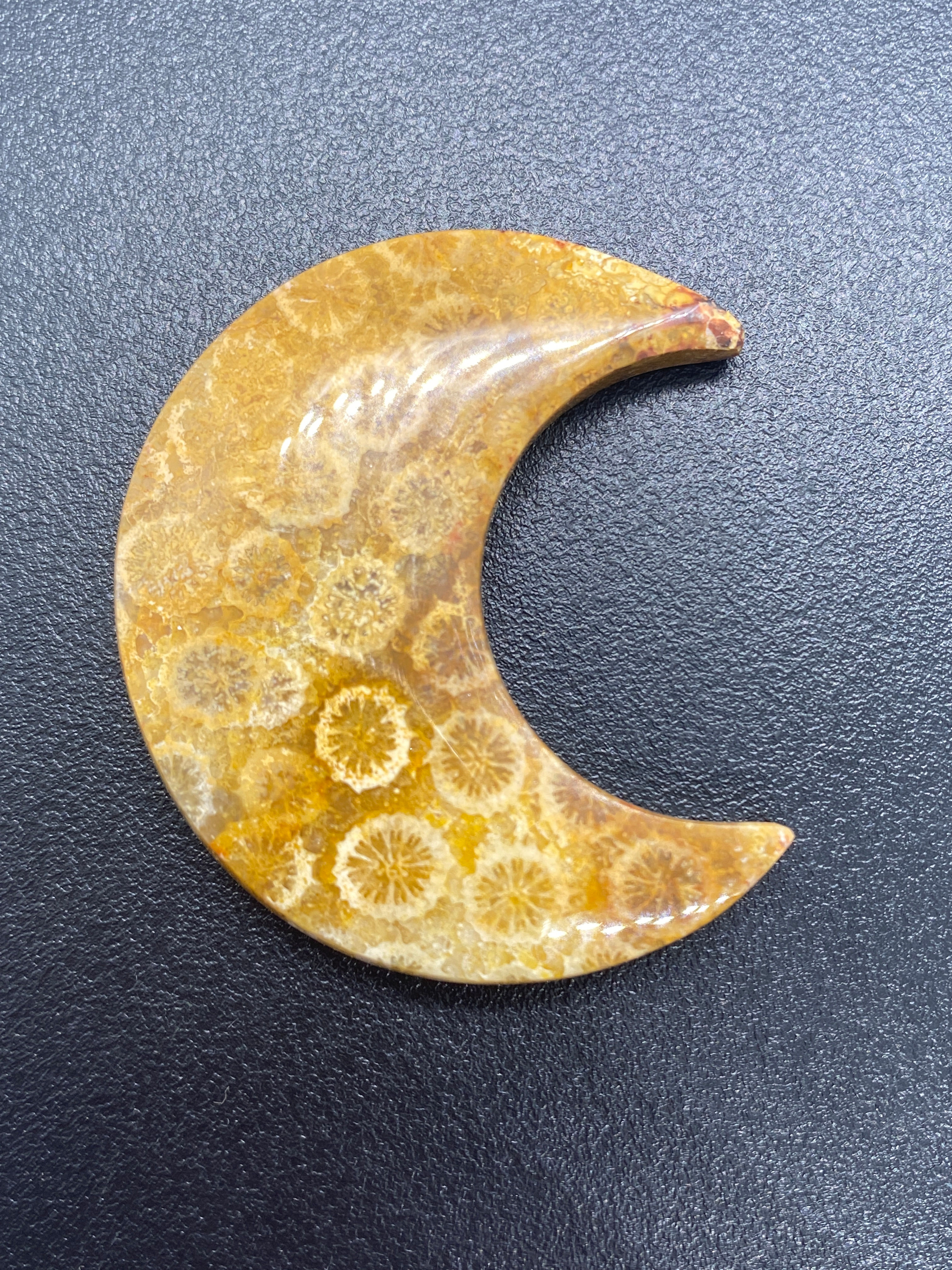 Fossilised Coral | Moon | 40 mm