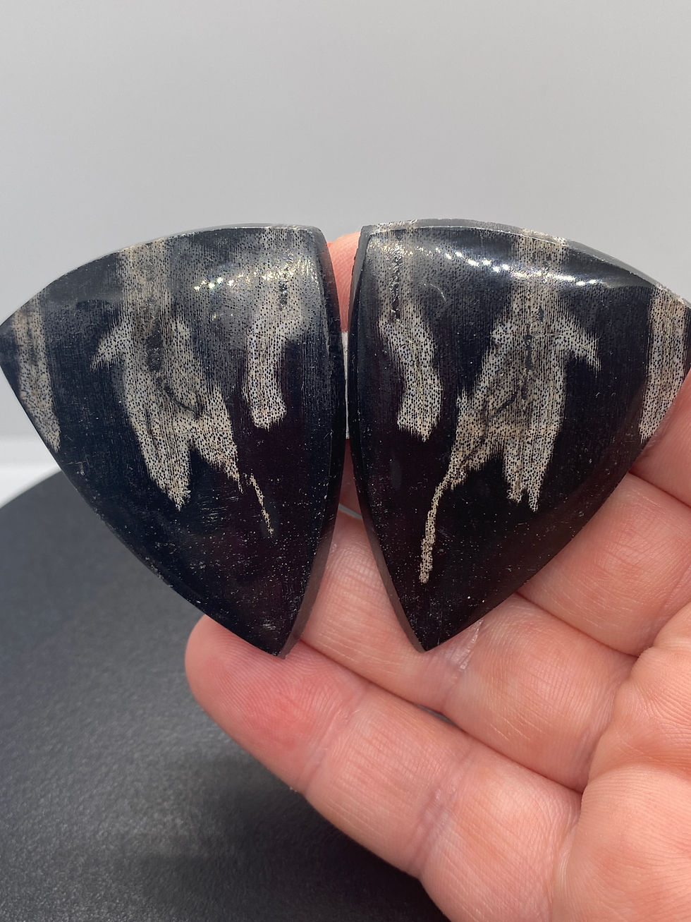 Extra Large Petrified Wood pair | Custom | 54 mm