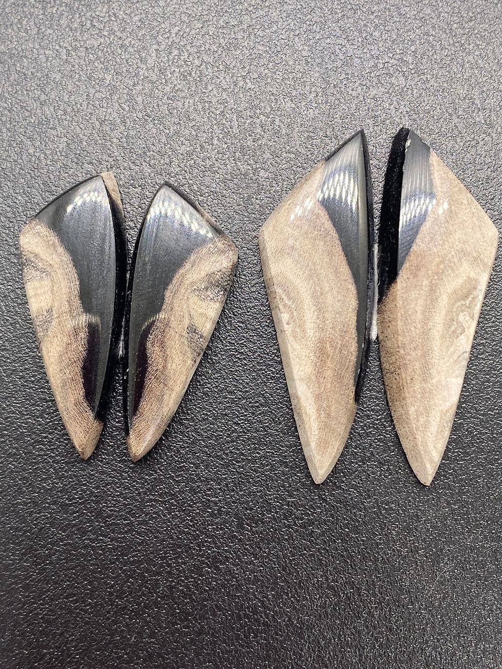 Petrified Wood pairs | Custom | 40 mm