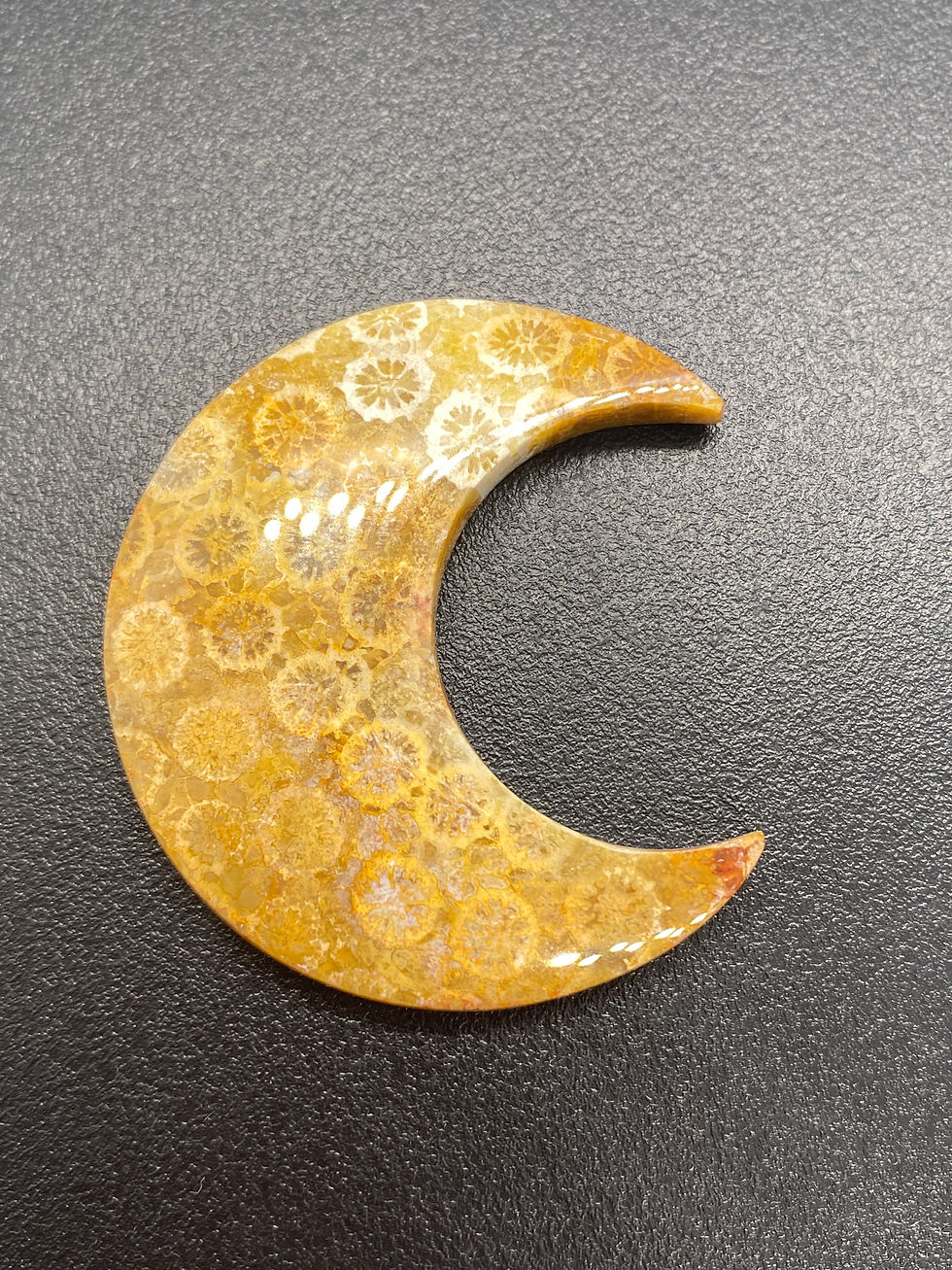 Fossilised Coral | Moon | 40 mm